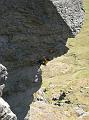 20090530_cobbler 033